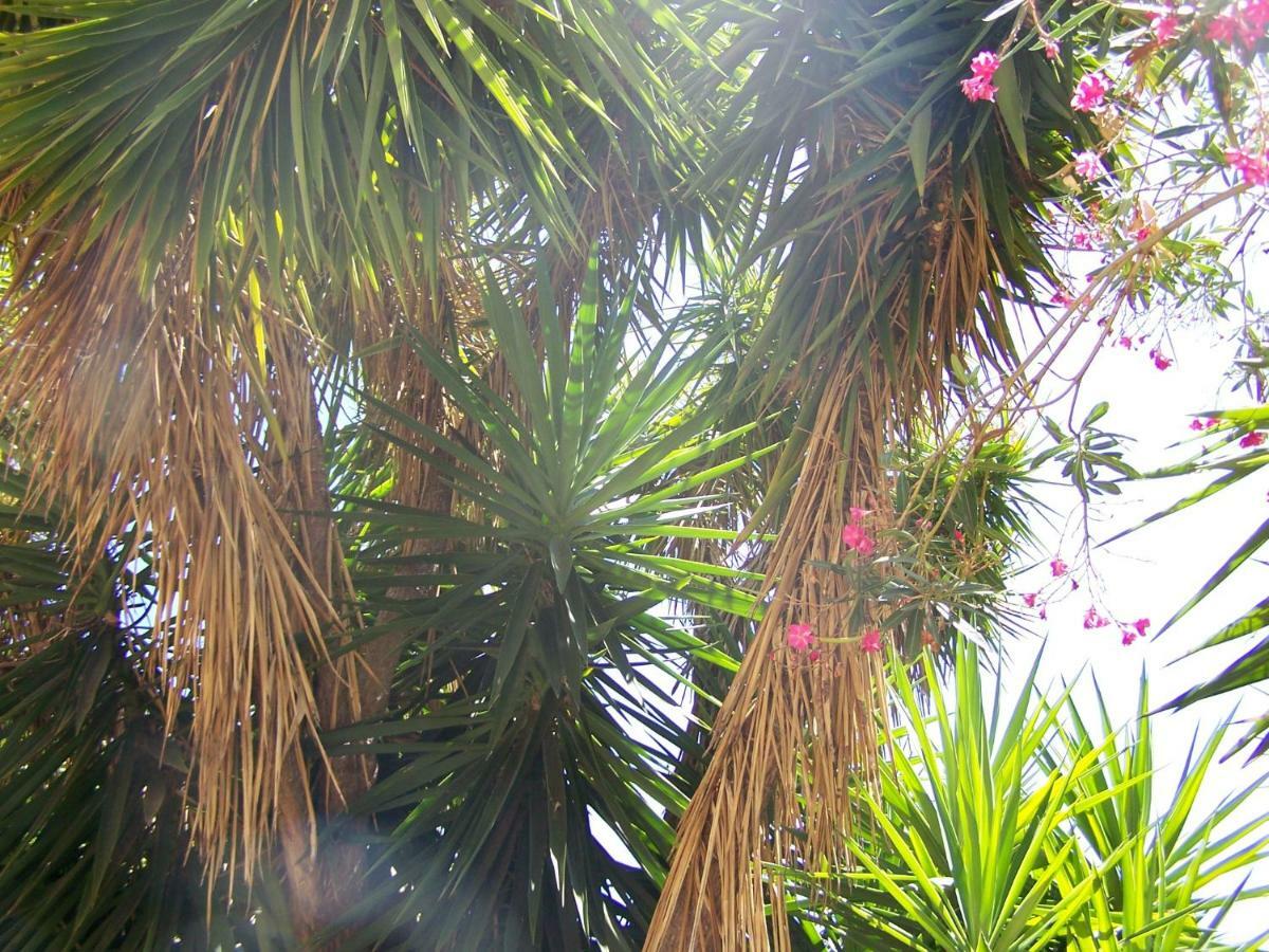 Grand Studio-Loft-Grand Parking-Climatise-Proche Centre Ajaccio  Bagian luar foto